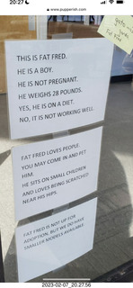 Facebook - This cat is Fat Fred.