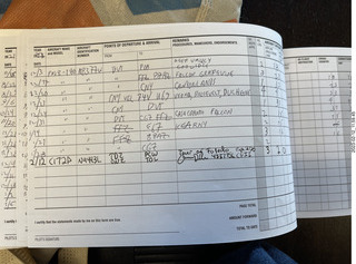 Todelo flight - my logbook after