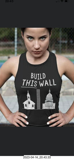 Facebook - BUILD THIS WALL (liberal)