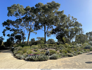 27 a1s. Astro Trails - Perth tour - Australian Botanical Garden