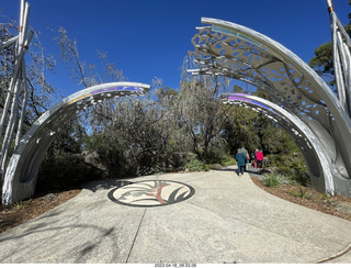 29 a1s. Astro Trails - Perth tour - Australian Botanical Garden