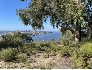 49 a1s. Astro Trails - Perth tour - Australian Botanical Garden view of Perth