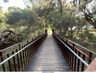 57 a1s. Astro Trails - Perth tour - Australian Botanical Garden - aerial walkway