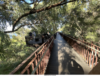 58 a1s. Astro Trails - Perth tour - Australian Botanical Garden - aerial walkway