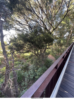 60 a1s. Astro Trails - Perth tour - Australian Botanical Garden - aerial walkway