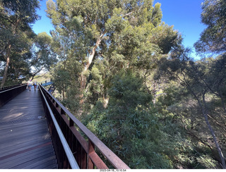 61 a1s. Astro Trails - Perth tour - Australian Botanical Garden - aerial walkway