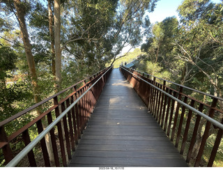 62 a1s. Astro Trails - Perth tour - Australian Botanical Garden - aerial walkway