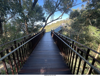 63 a1s. Astro Trails - Perth tour - Australian Botanical Garden - aerial walkway