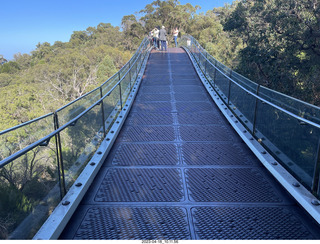 66 a1s. Astro Trails - Perth tour - Australian Botanical Garden - aerial walkway