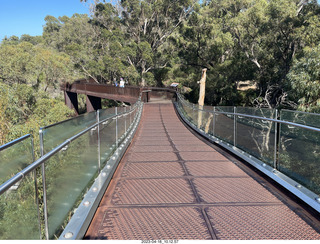 70 a1s. Astro Trails - Perth tour - Australian Botanical Garden - aerial walkway