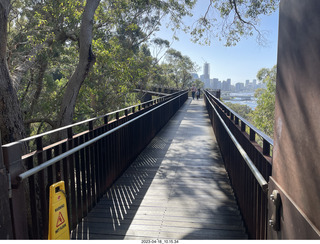 74 a1s. Astro Trails - Perth tour - Australian Botanical Garden - aerial walkway