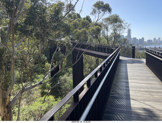 76 a1s. Astro Trails - Perth tour - Australian Botanical Garden - aerial walkway