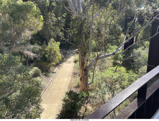 77 a1s. Astro Trails - Perth tour - Australian Botanical Garden - aerial walkway