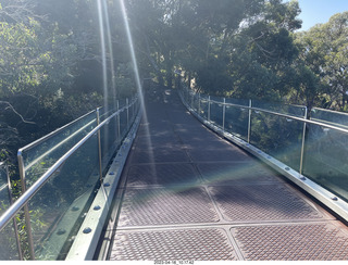 79 a1s. Astro Trails - Perth tour - Australian Botanical Garden - aerial walkway