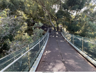 82 a1s. Astro Trails - Perth tour - Australian Botanical Garden - aerial walkway