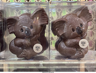 25 a1s. Astro Trails - wine-tasting tour - chocalate store - chocolate koala bears