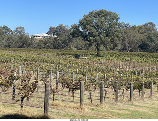 54 a1s. Astro Trails - wine-tasting tour - vineyard store - trees