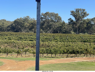 55 a1s. Astro Trails - wine-tasting tour - vineyard store - trees