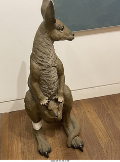 229 a1s. Astro Trails - Australia - Pinnacle park kangaroo sculpture