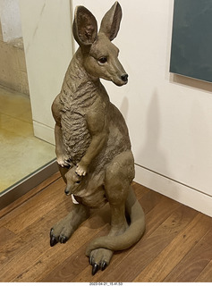 230 a1s. Astro Trails - Australia - Pinnacle park kangaroo sculpture