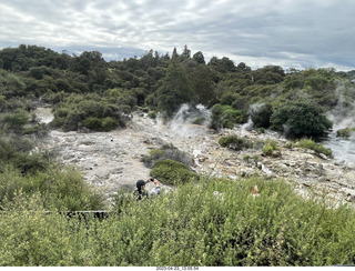 109 a1s. New Zealand - Thermal Hot Springs - Te Puia - steam and geyser