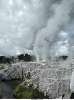 113 a1s. New Zealand - Thermal Hot Springs - Te Puia - steam and geyser