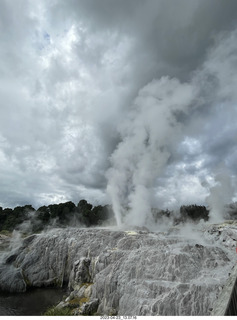 115 a1s. New Zealand - Thermal Hot Springs - Te Puia - steam and geyser