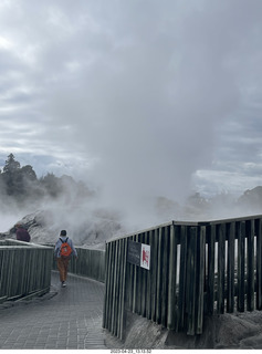 141 a1s. New Zealand - Thermal Hot Springs - Te Puia - steam and geyser