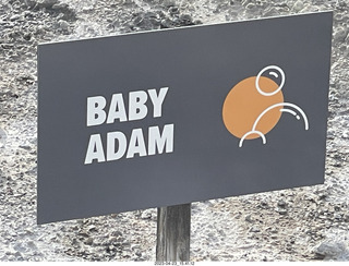 211 a1s. New Zealand - Hell's Gate - mud and thermal walk - sign BABY ADAM