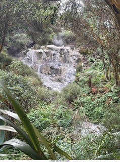 239 a1s. New Zealand - Hell's Gate - mud and thermal walk - waterfall
