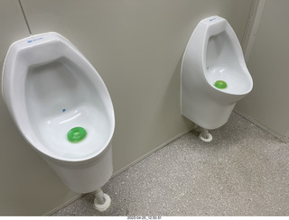56 a1s. New Zealand - Spellbound Glowworm & Cave Tours - urinals with marker (like Amsterdam fly)