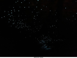 137 a1s. New Zealand - Spellbound Glowworm & Cave Tours - dark cave with glowworms