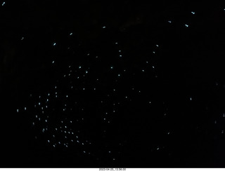 138 a1s. New Zealand - Spellbound Glowworm & Cave Tours - dark cave with glowworms