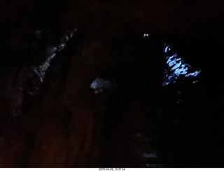 188 a1s. New Zealand - Spellbound Glowworm & Cave Tours - dark cave with glowworms