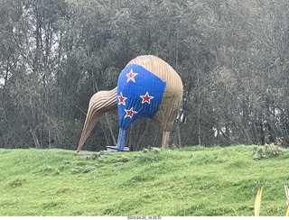 215 a1s. New Zealand - driving - kiwi sculpture