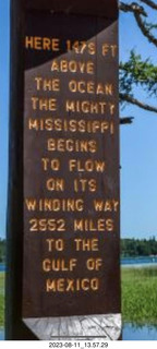 cat Pickle drinking from the faucet