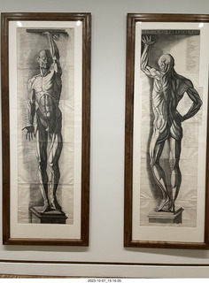 Philadelphia Museum of Art - male nudes