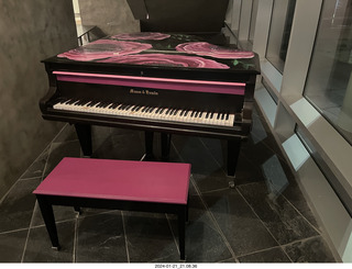 cats Potato and Pickle