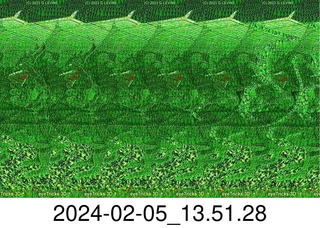 stereogram
