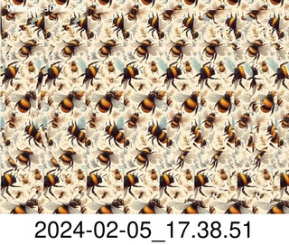 stereogram