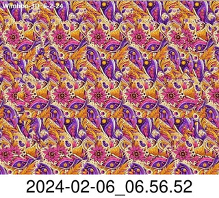 stereogram