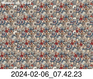 stereogram