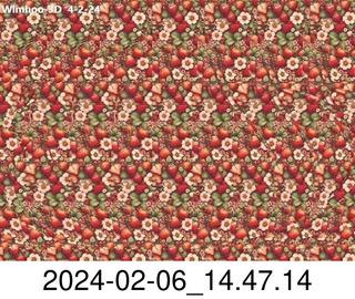 stereogram