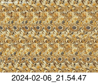 stereogram