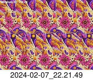 stereogram