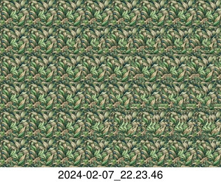 stereogram