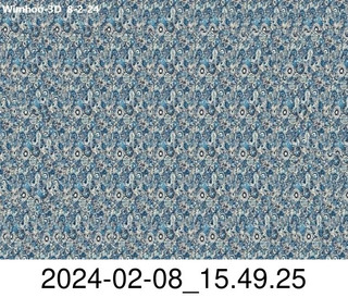 stereogram