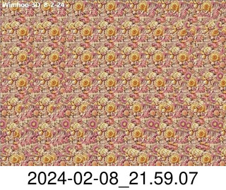 stereogram