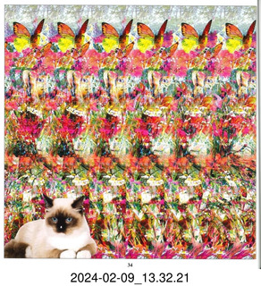 stereogram