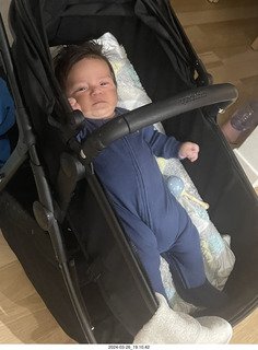 Anthony junior